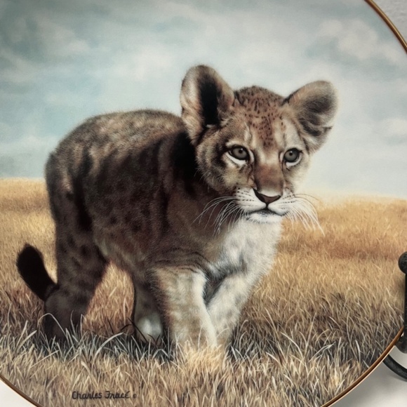 Young Explorer by Charles Fracé  Small Wonders of the Wild Plate # 3607 C - Picture 7 of 13